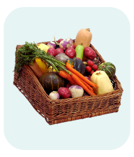 Fresh Veggies