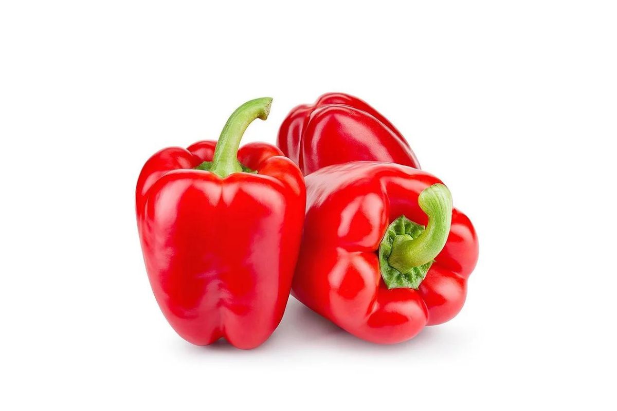 Capsicum Red (Bell Pepper)