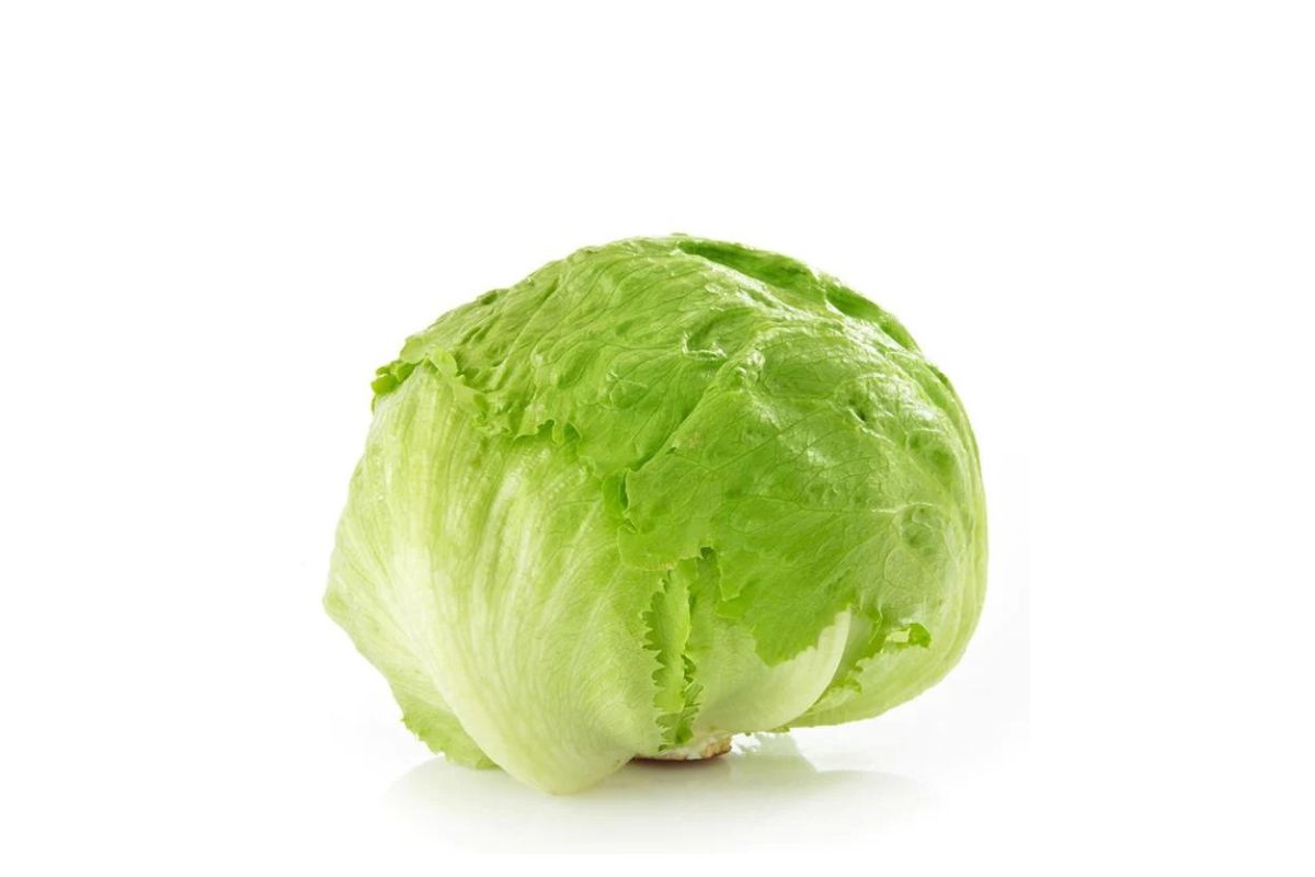 Iceberg Lettuce