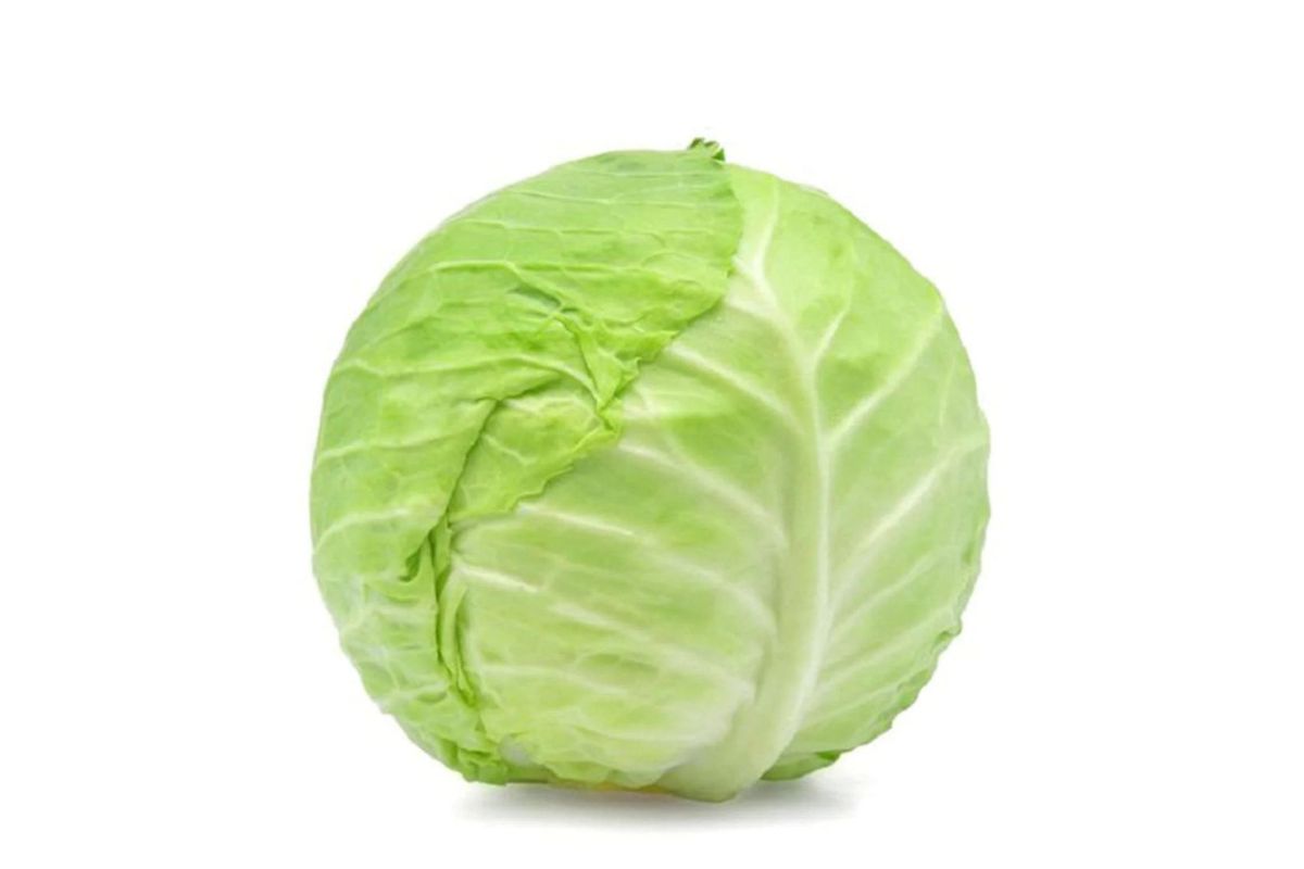 Green Cabbage