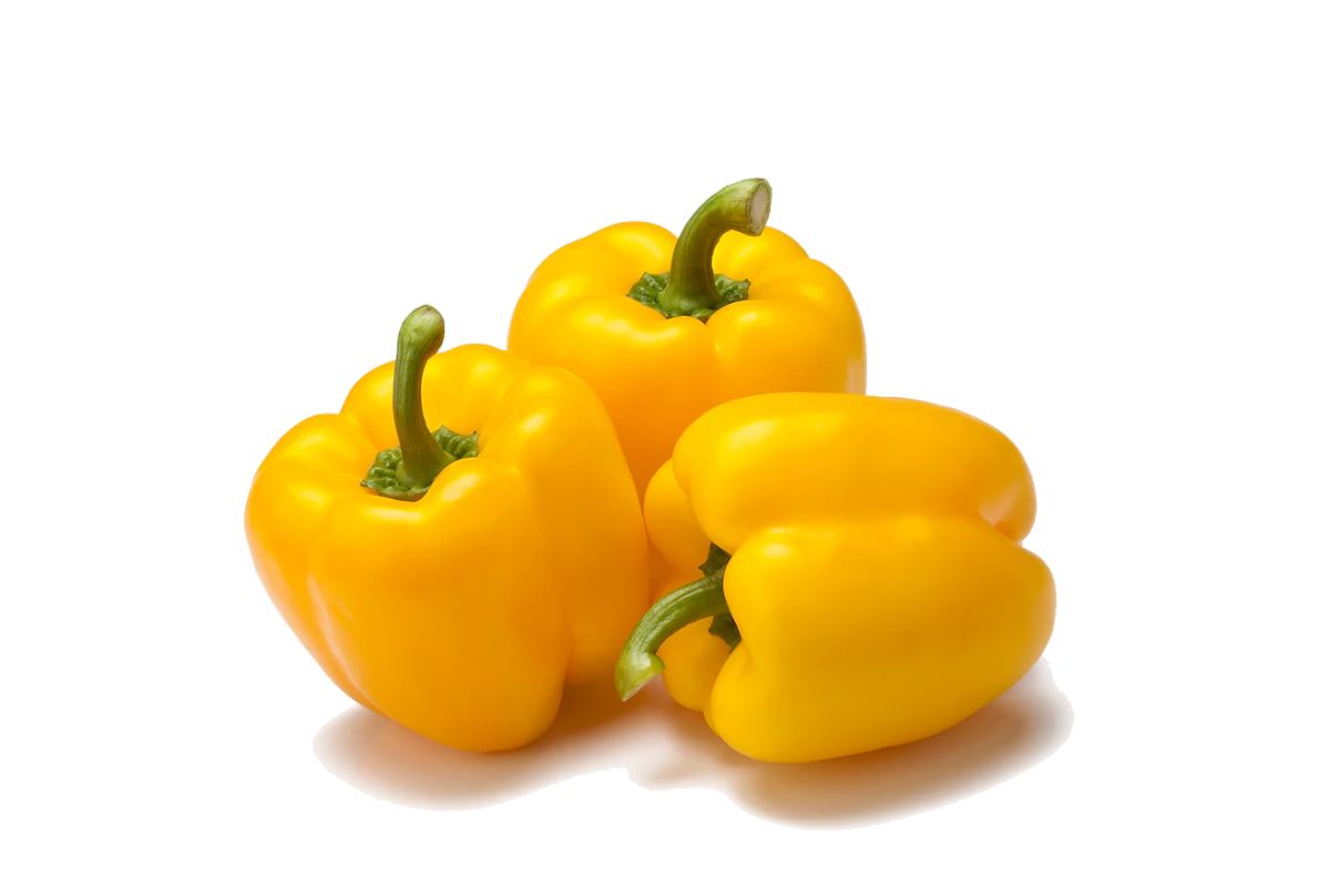 Capsicum Yellow (Bell Pepper)