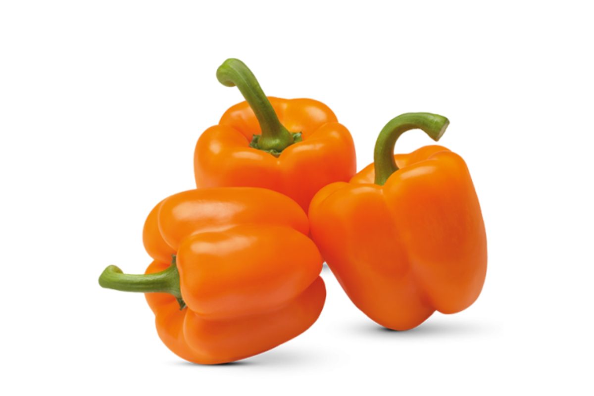 Capsicum Orange (Bell pepper)