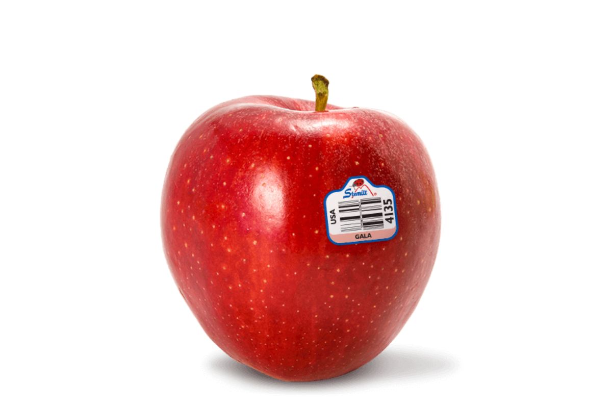Apple Royal Gala