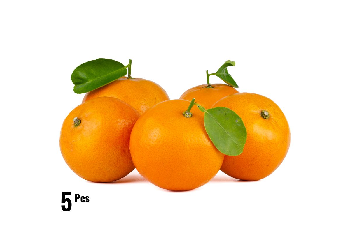 Navel Oranges Large