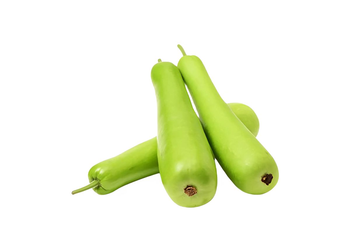 Indian Squash (Lauki) image