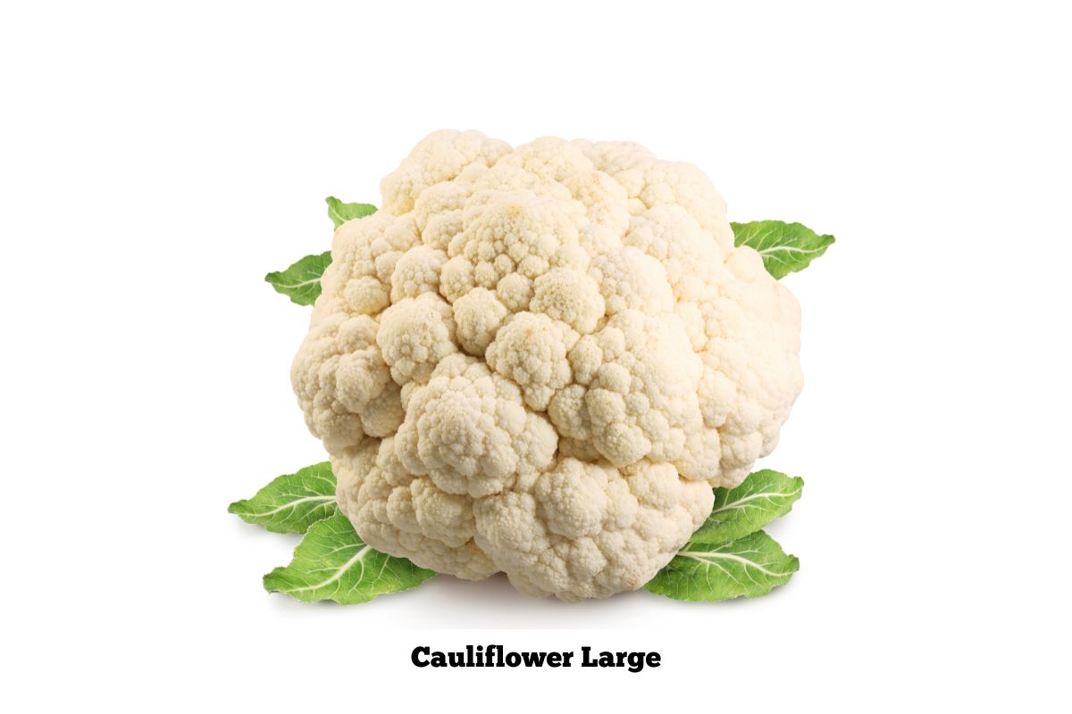Cauliflower Large