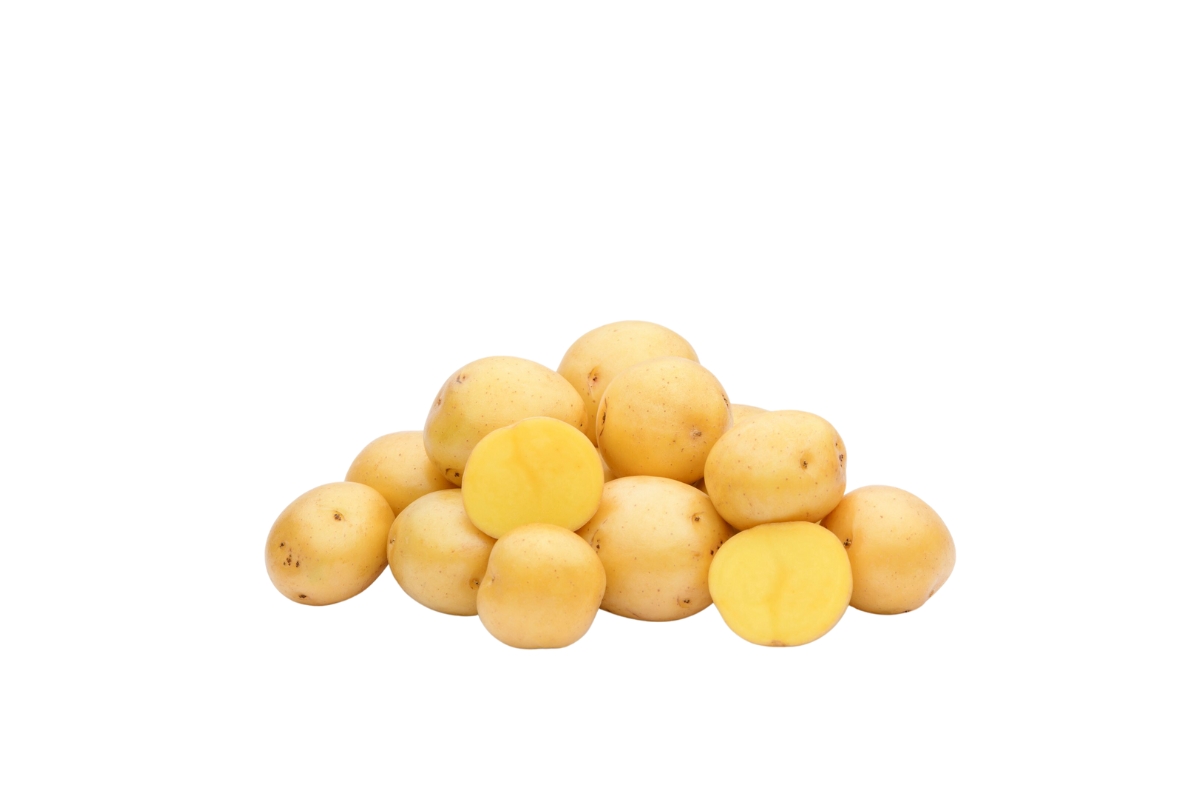 Potato Yellow image
