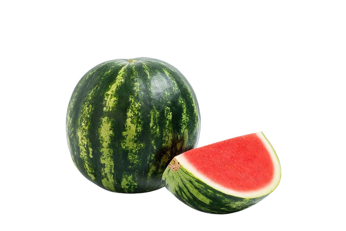 Watermelon Large