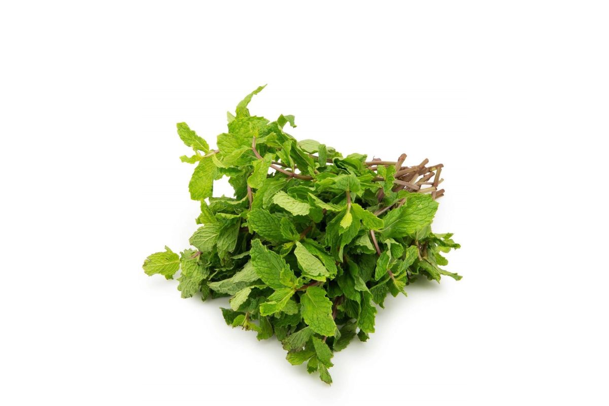 Fresh Mint leaves