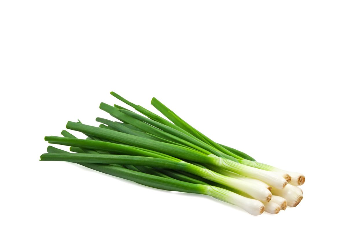 Green Onion