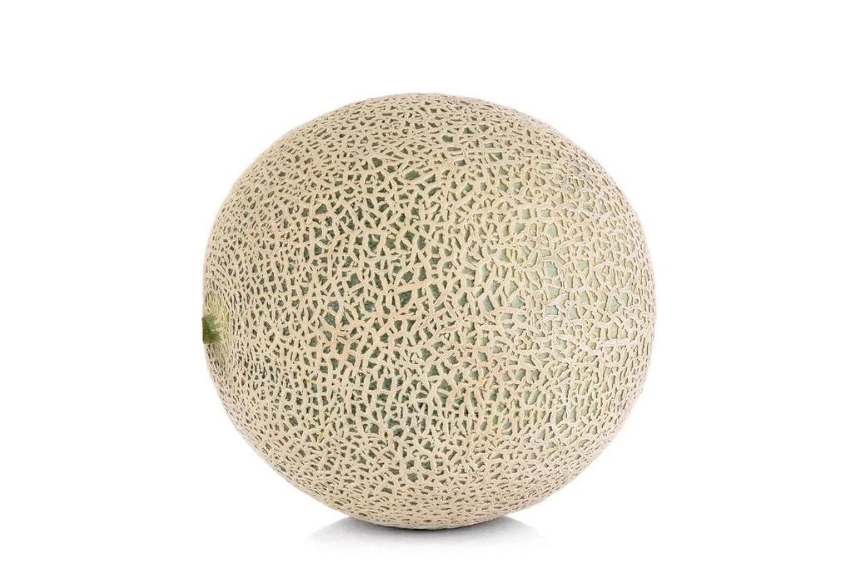 Cantaloupe Large