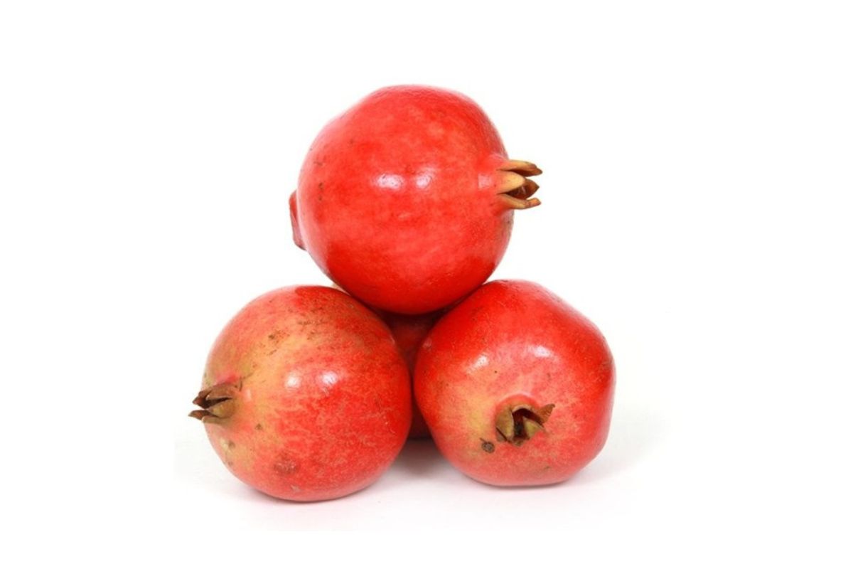 Pomegranate Large
