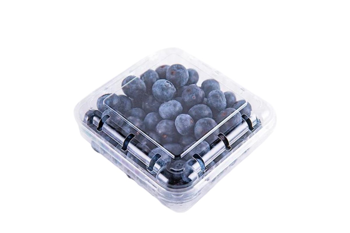 Blueberry Box