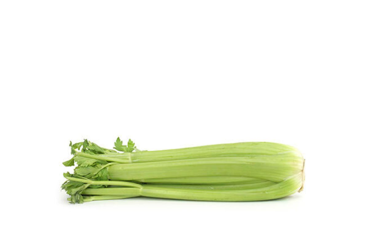 Fresh Celery Stalks