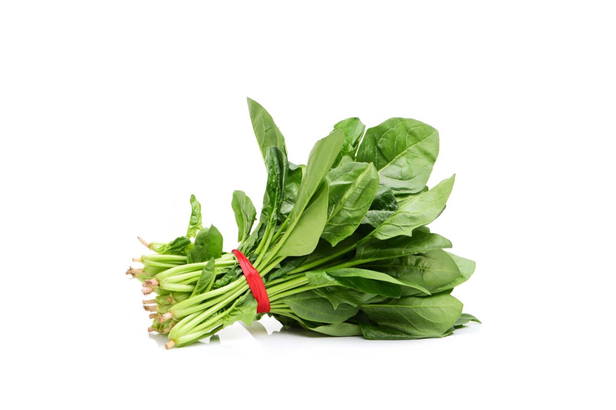 Spinach image
