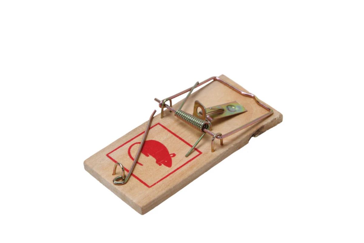 Wooden Mouse Traps