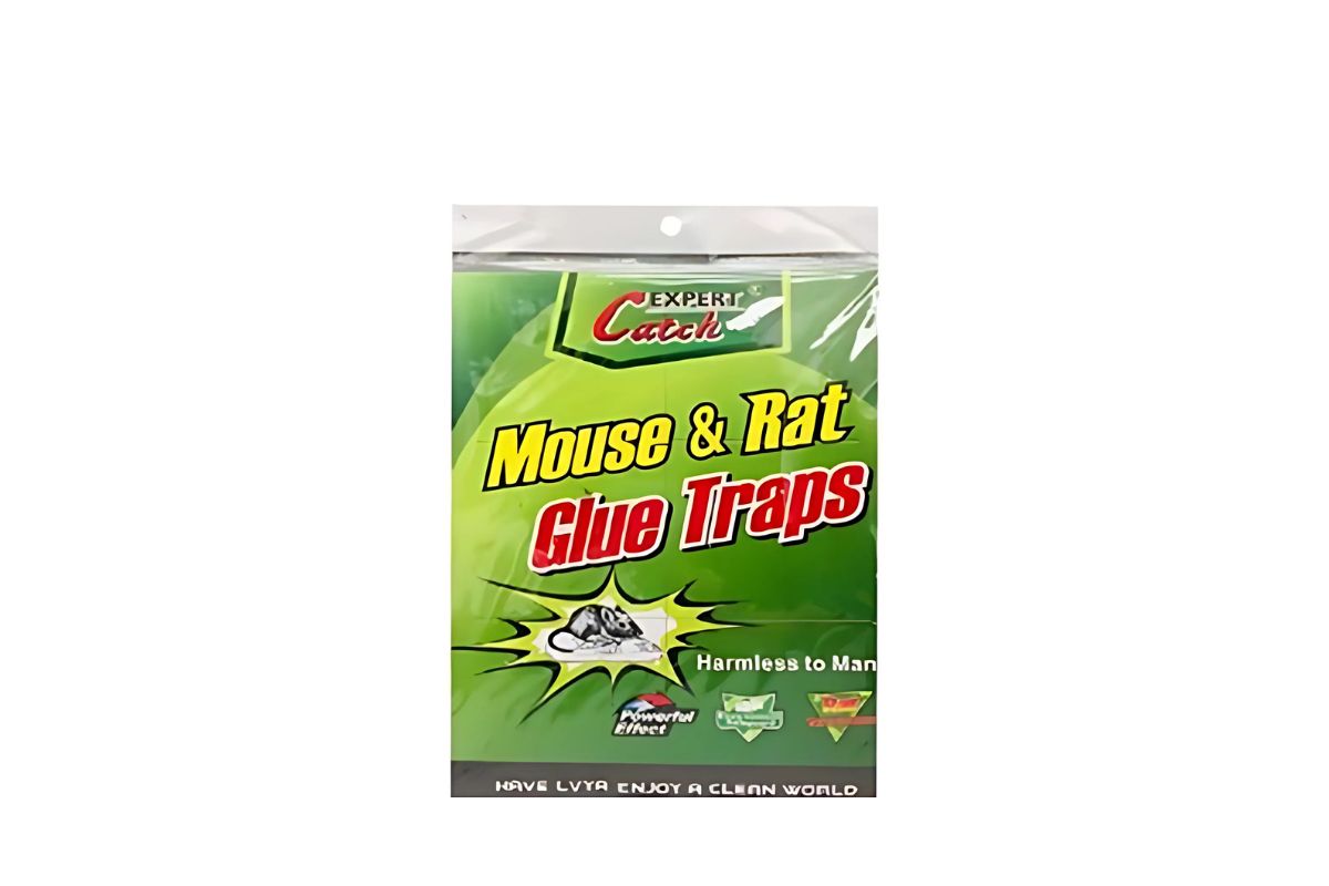 Mouse & Rat Glue Trap image