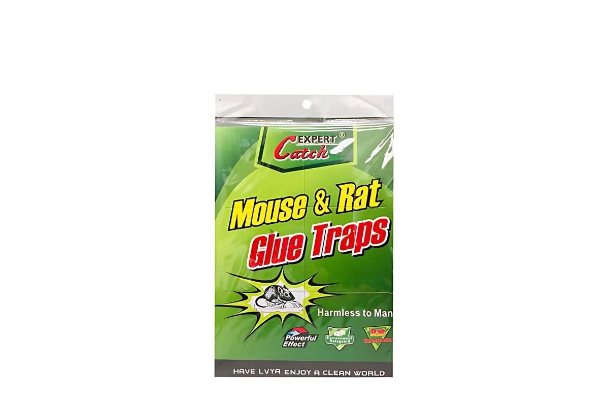Mouse & Rat Glue Traps