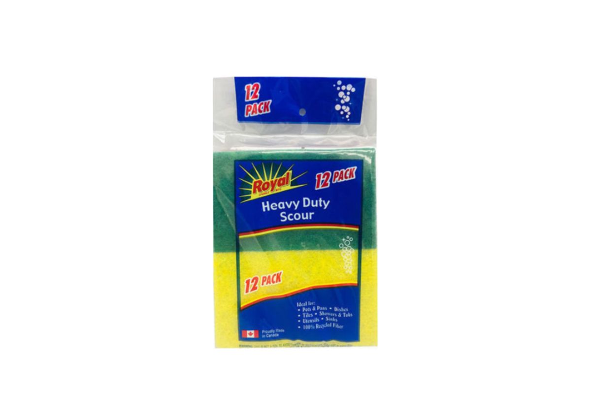 Dish Scrubber (Joona)