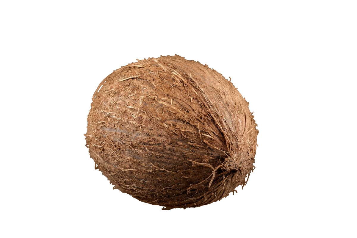 Coconut Whole image