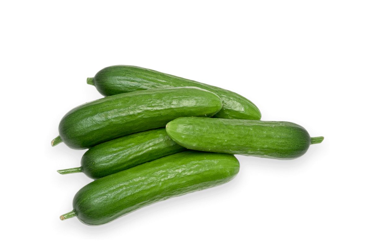 Cucumber Mini image