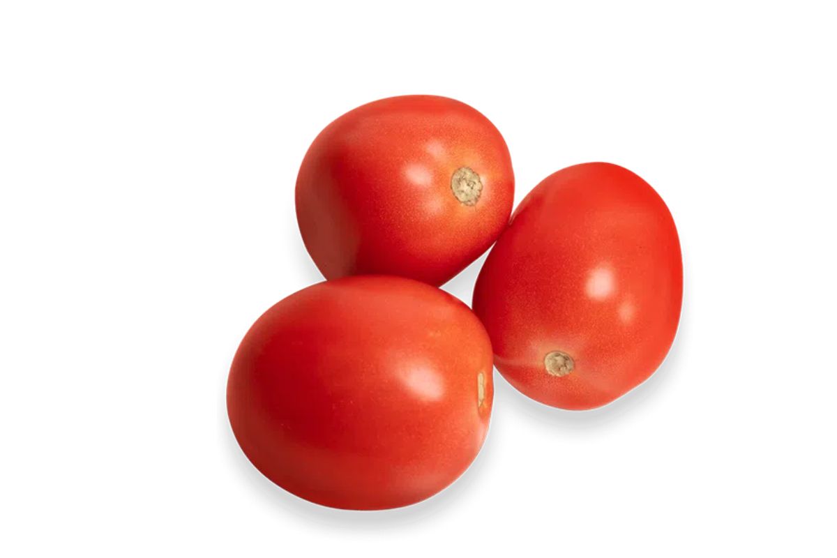 Tomato Roma