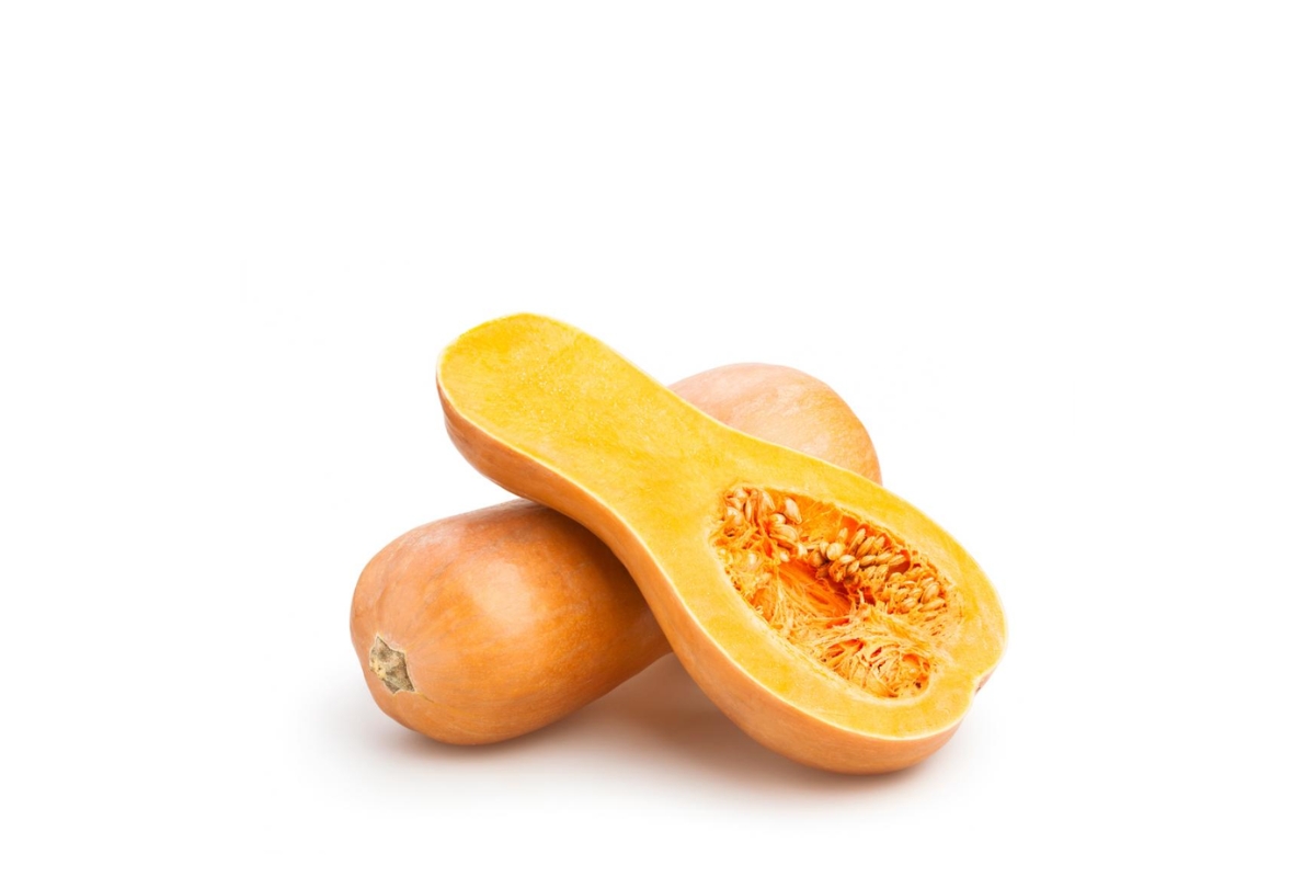 Butternut Squash