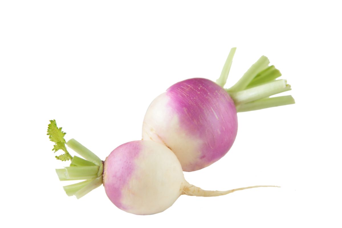 Turnip image